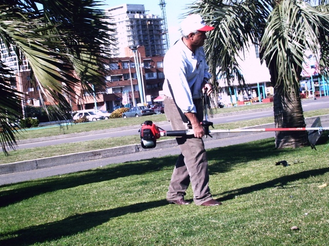 Demostraciones y pruebas en los jardínes del Hotel Conrad